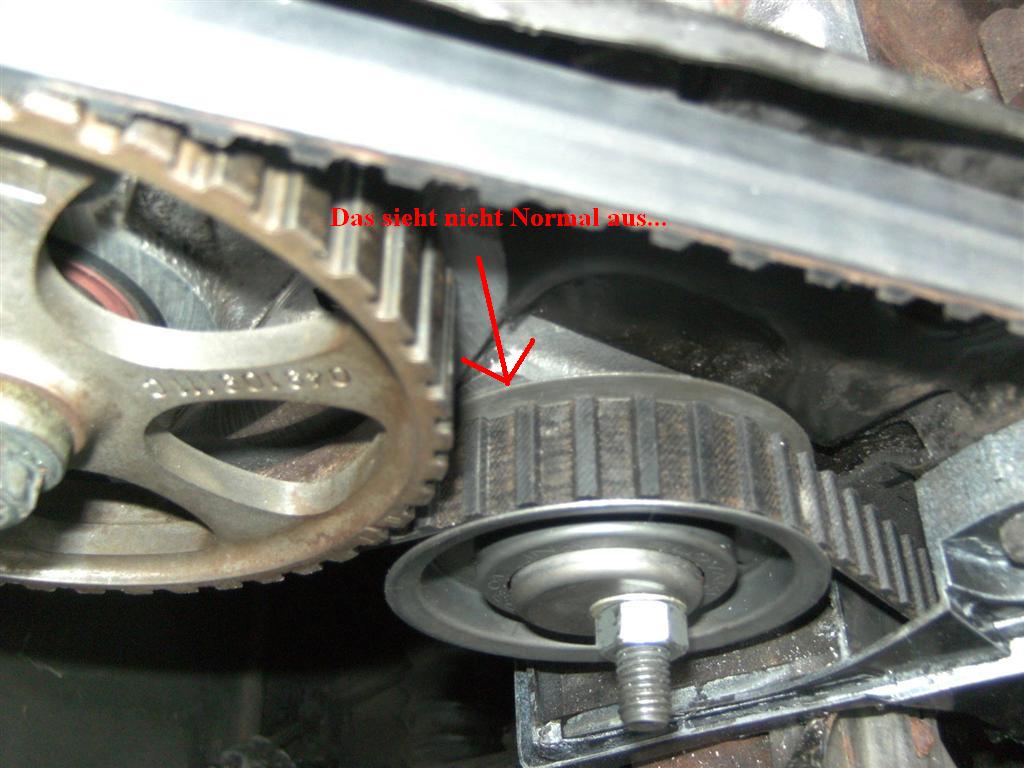 BILD0053 (Large).JPG