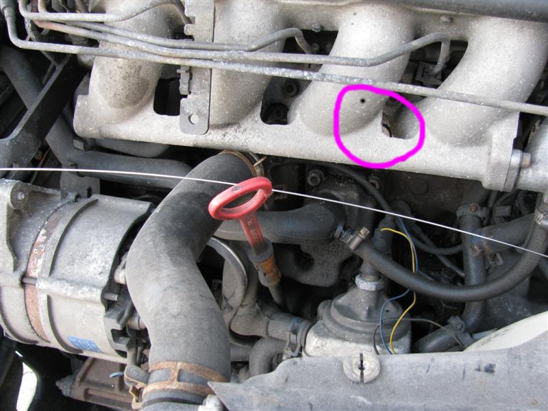 IMG_1207_mit kreis (Medium).jpg