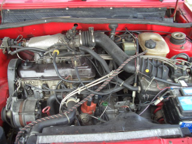 CIMG4559.JPG