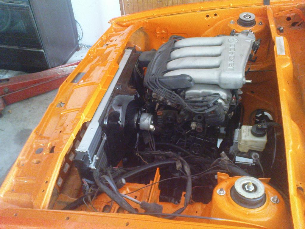 DSC00429.jpg