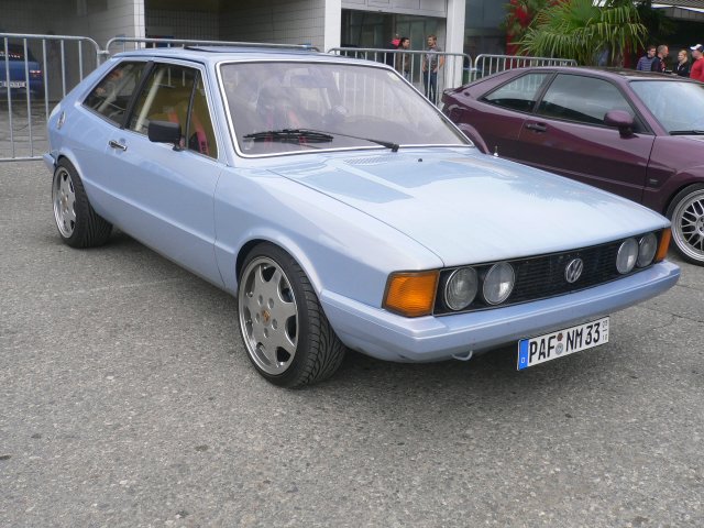 Rocco1.JPG
