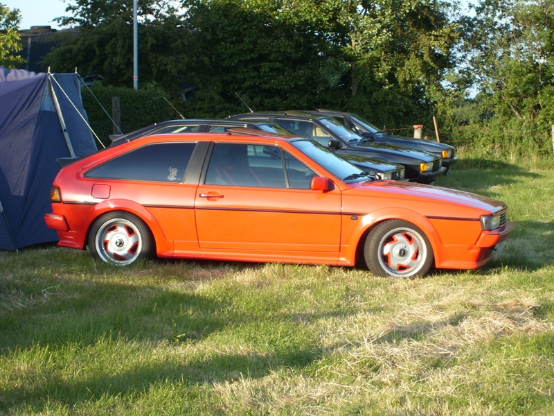 SL273875.JPG