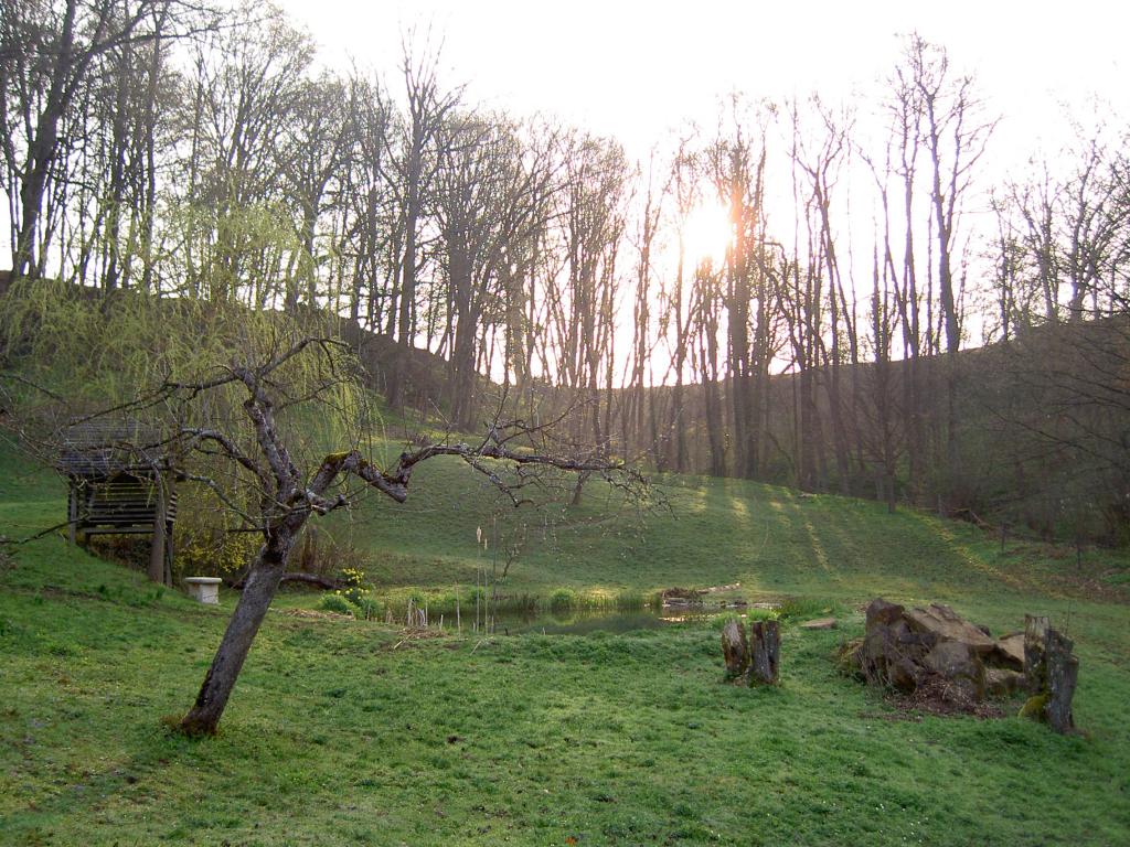 PICT1764.jpg