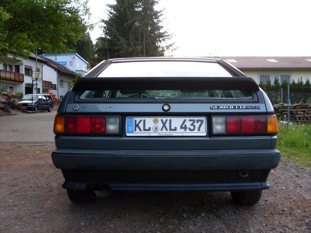 SDC10384.jpg