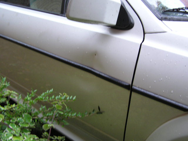 PA240011.JPG