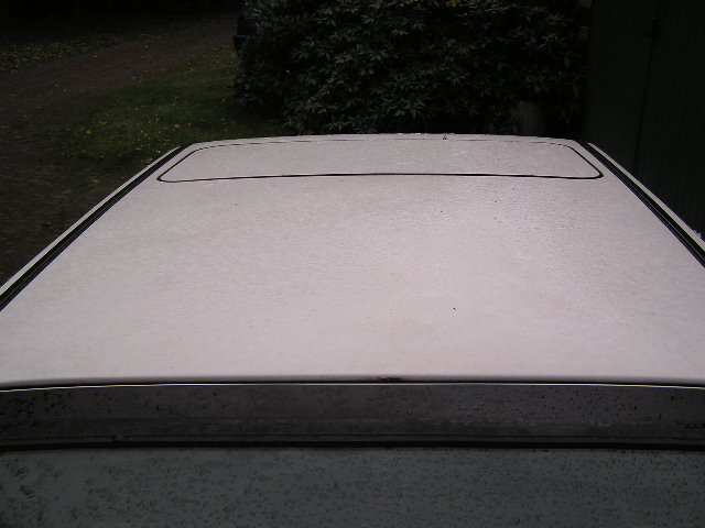 PA240014.JPG