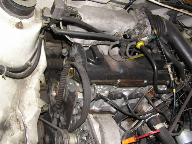 PA240027.JPG