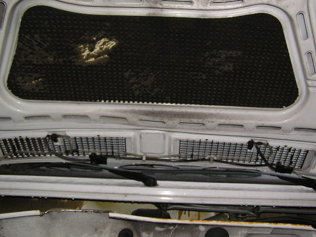 PA240030.JPG