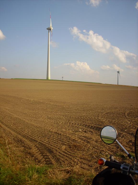 DSCI0493.jpg