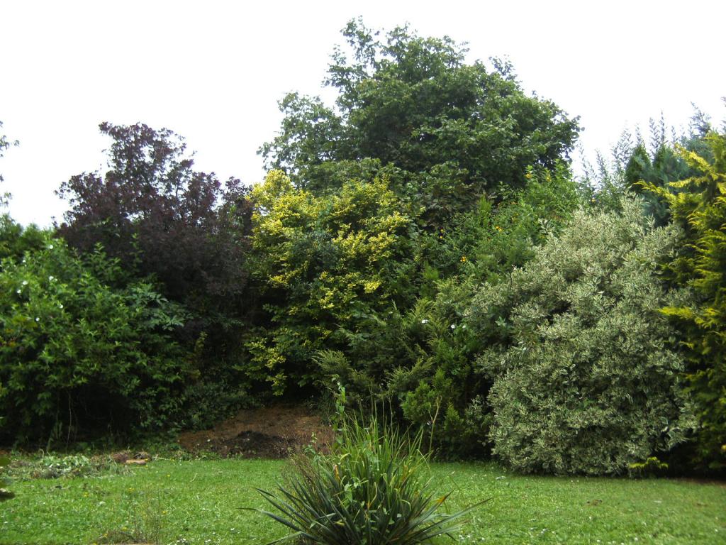 Vorher (2).jpg