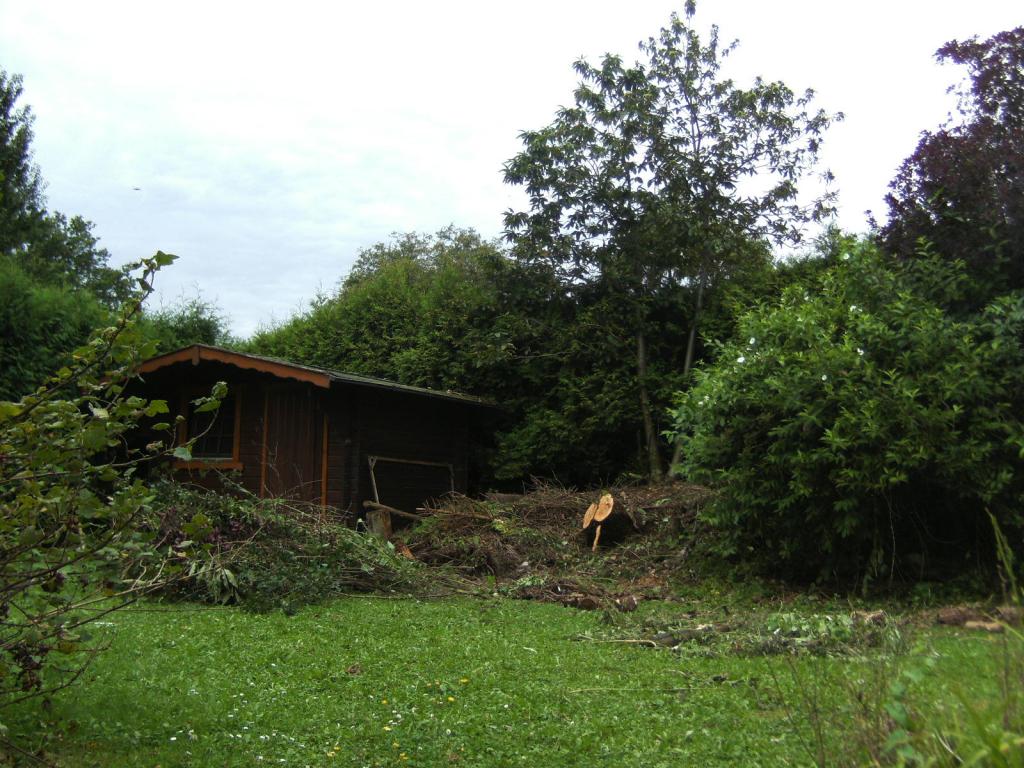 Vorher (3).jpg