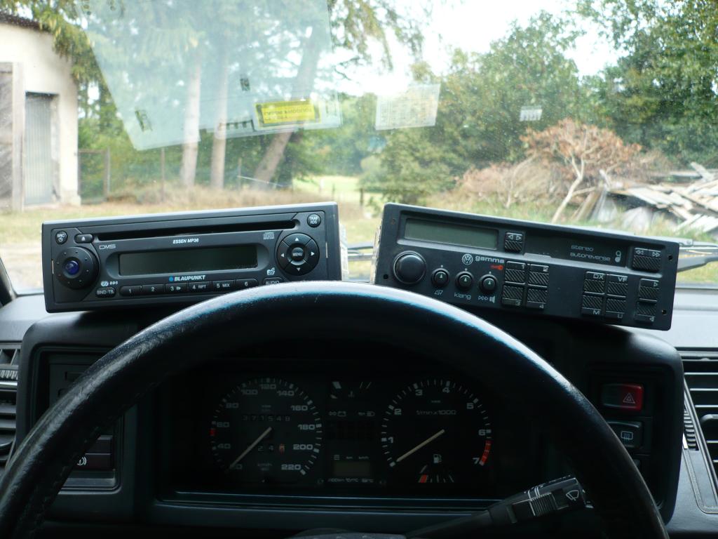 P1000453.jpg