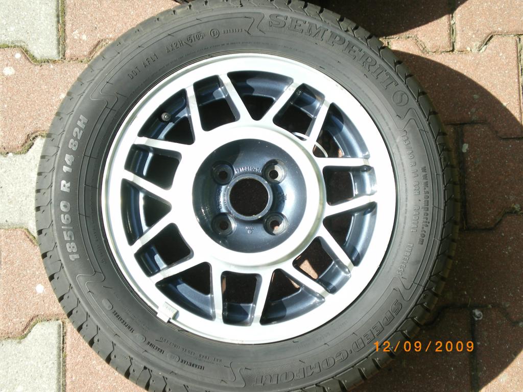IMGP3267.jpg