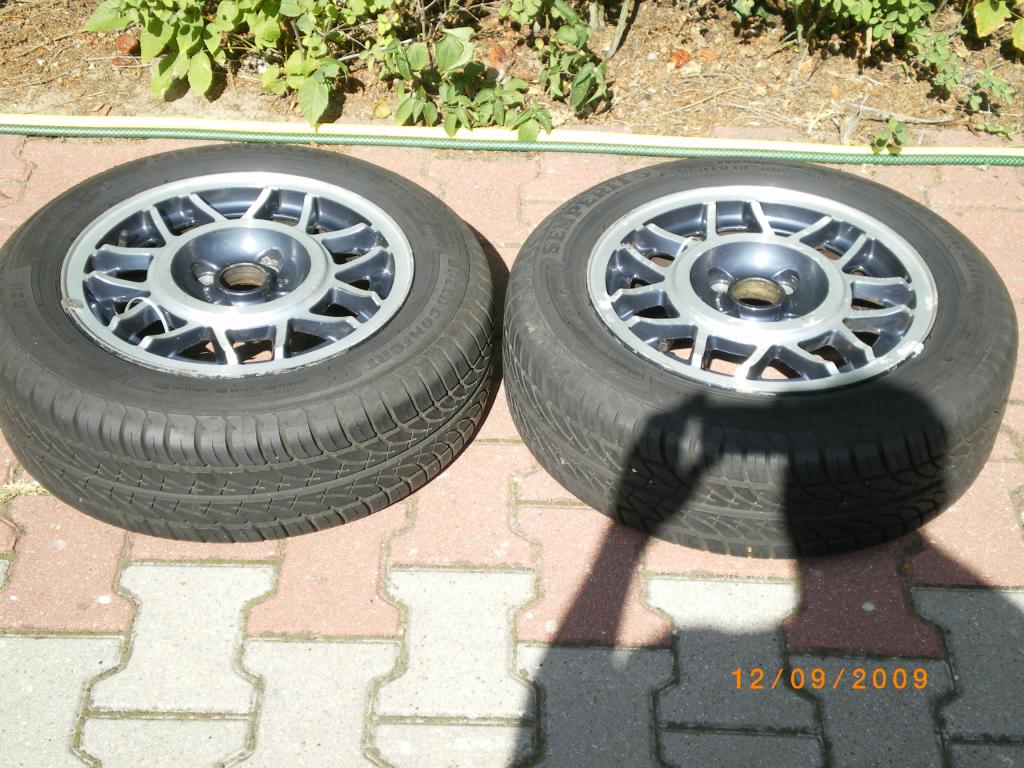 IMGP3269.jpg