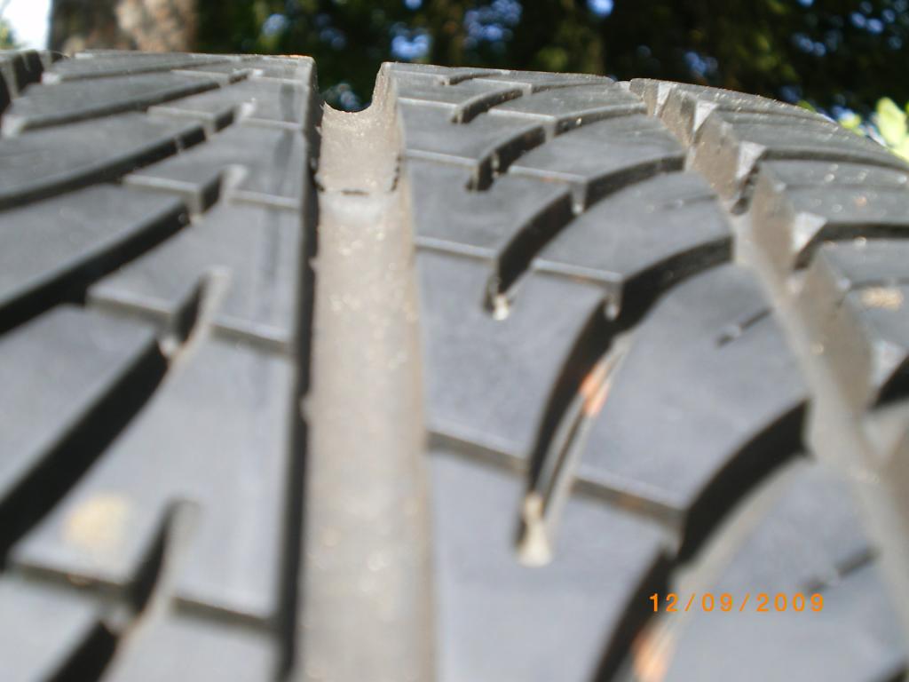 IMGP3273.jpg