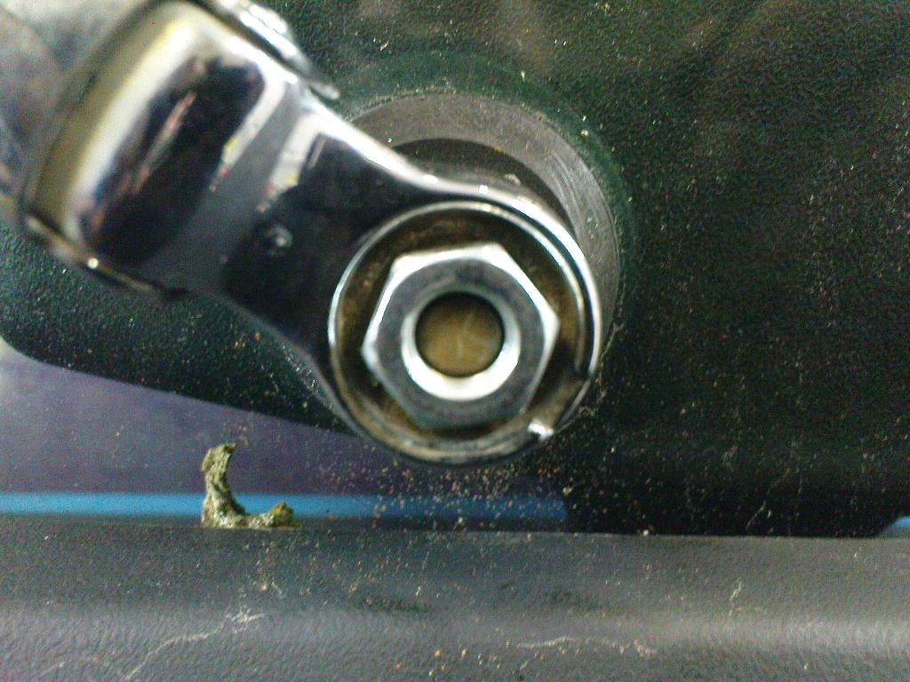 DSC00455.jpg
