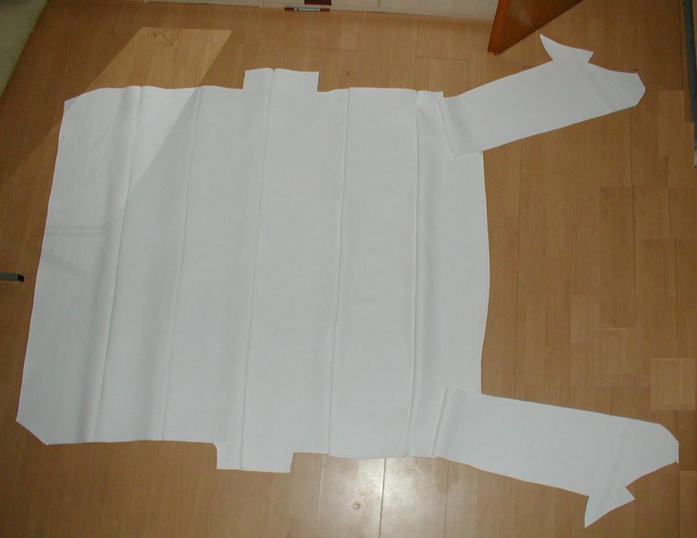 Frankys Glasdach Himmel Neptune weiß Vorne.jpg