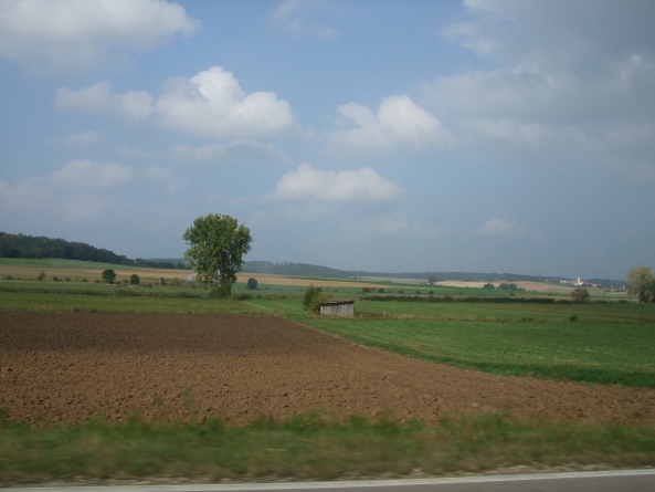 DSCF0217.jpg