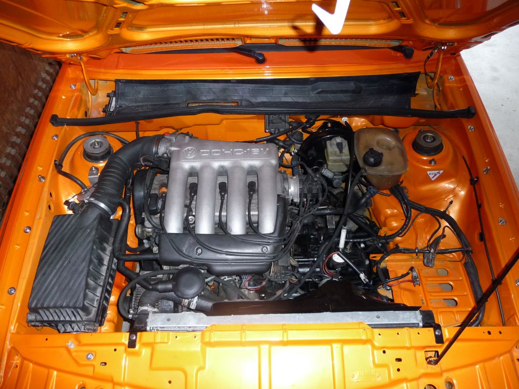 P1020442.JPG