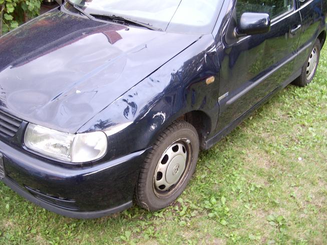 Polo1.JPG