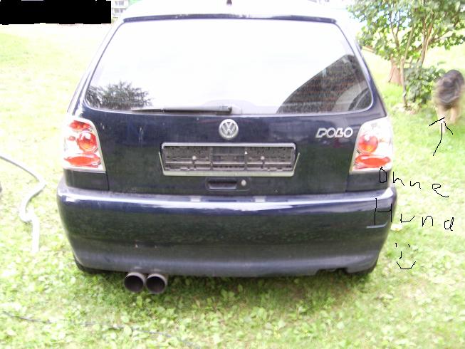 Polo7.JPG