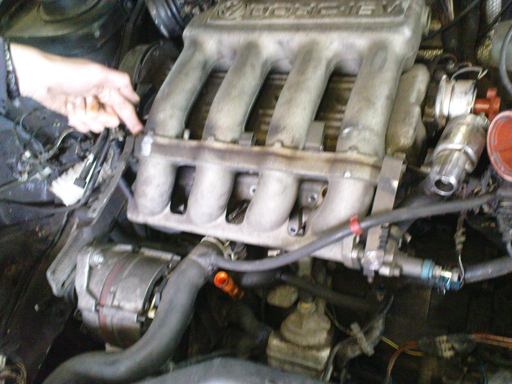 DSC00500.jpg