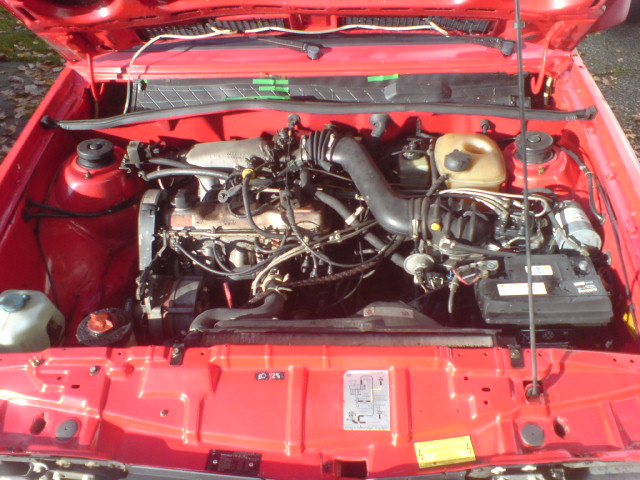 DSC09254.JPG