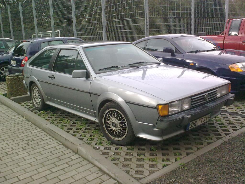 Rocco (2).jpg