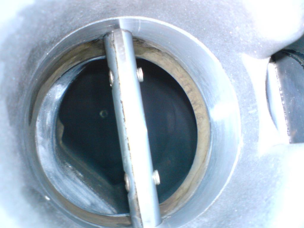 DSC00281.jpg
