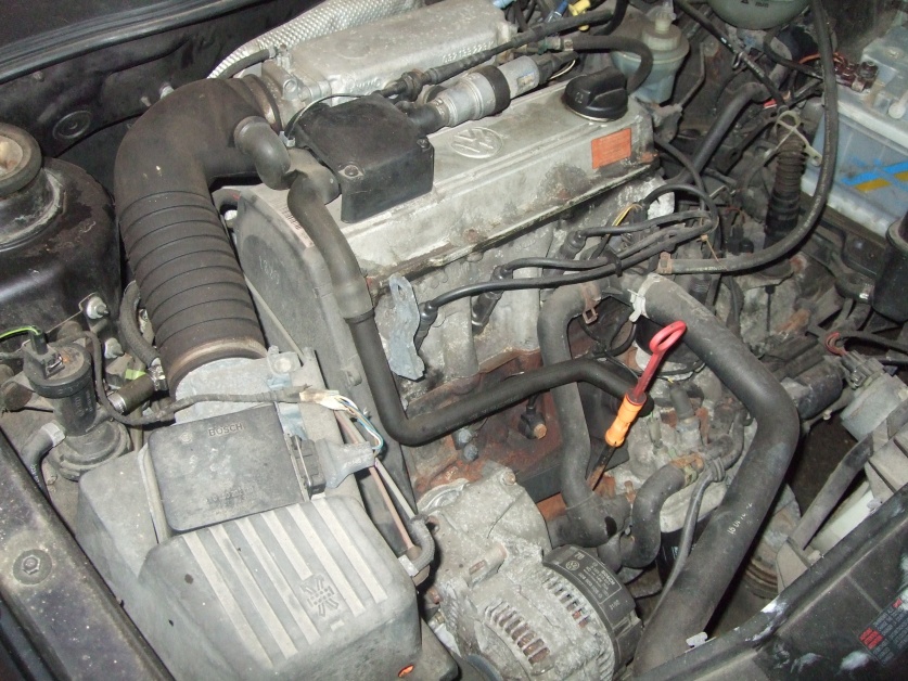 DSCF0417.jpg