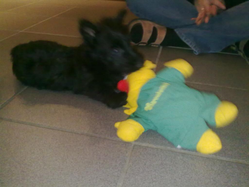 04112009175.jpg