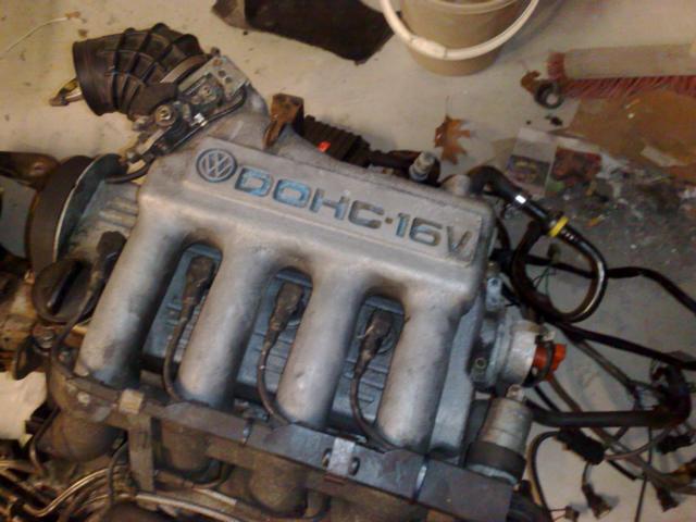 081120091044.JPG