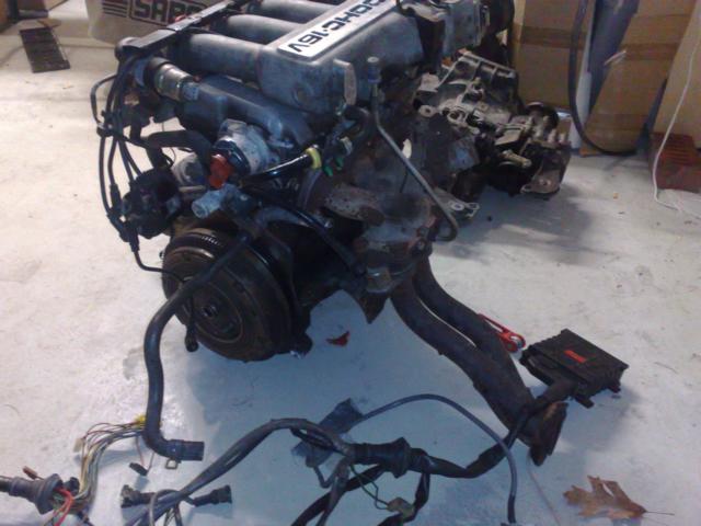 081120091046.JPG