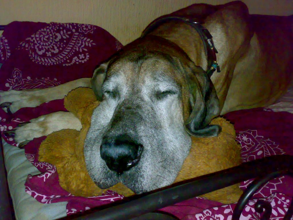 09112008196.jpg