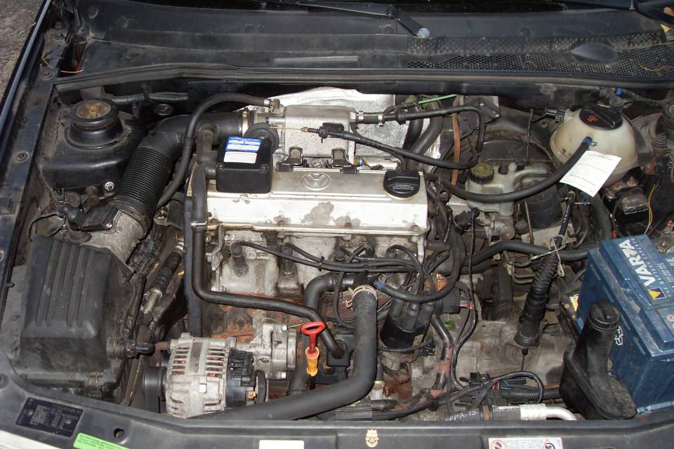 SDC12919.jpg
