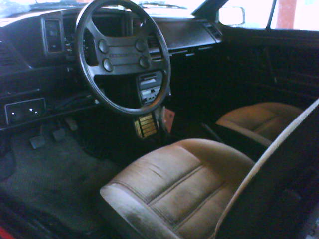 DSC00340.JPG