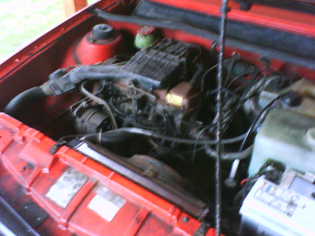 DSC00344.JPG