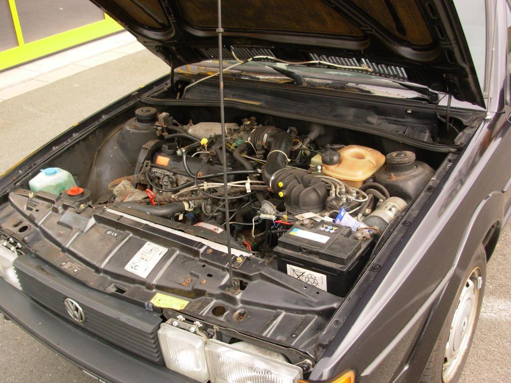 DSCN3609.jpg