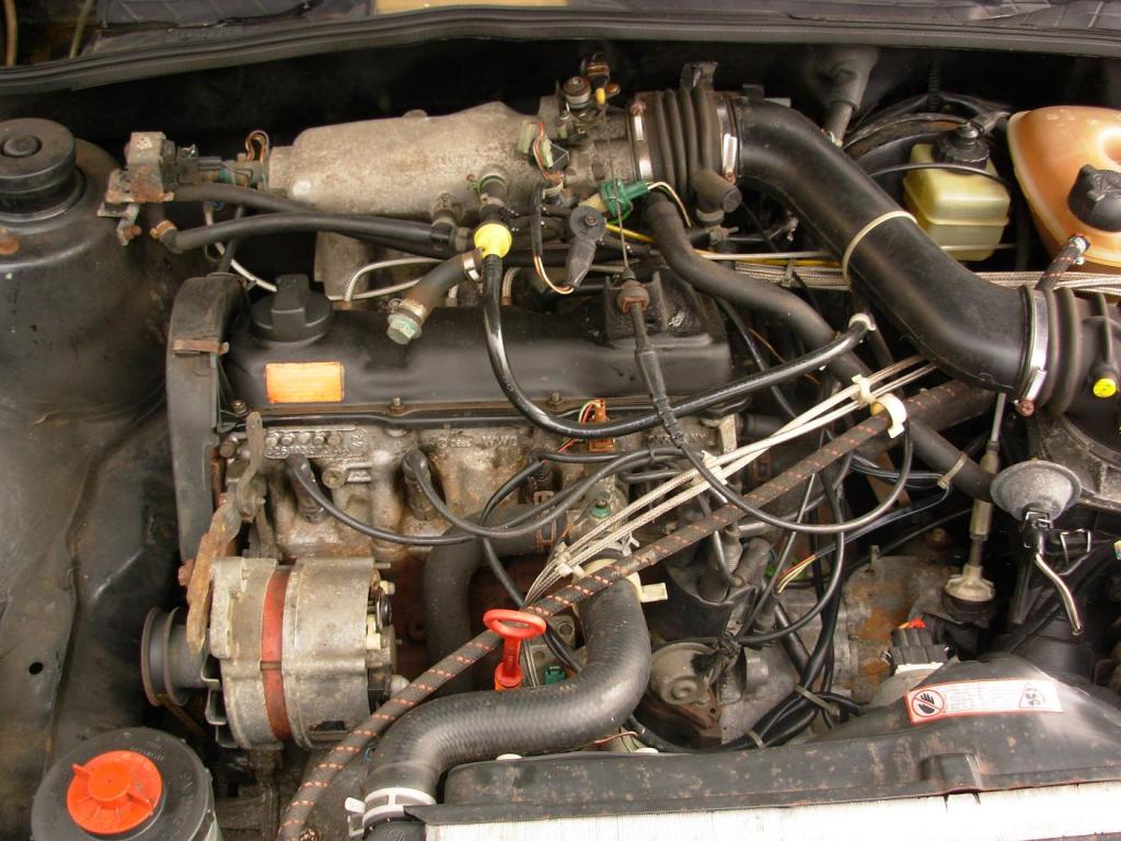 DSCN3610.jpg
