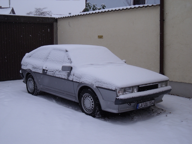 winter09.JPG