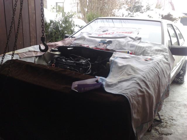 130120101126.JPG