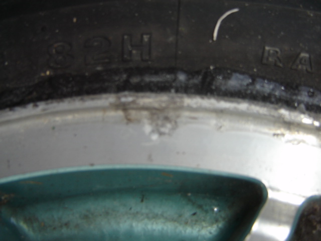 DSC04411.JPG