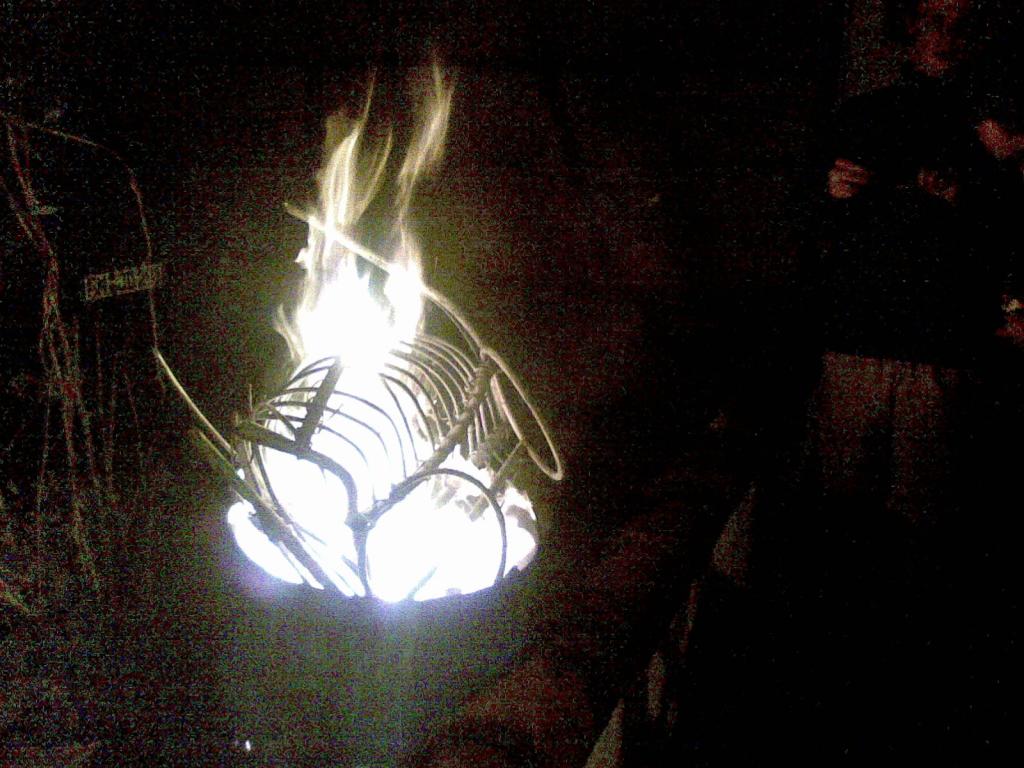 02052009.jpg