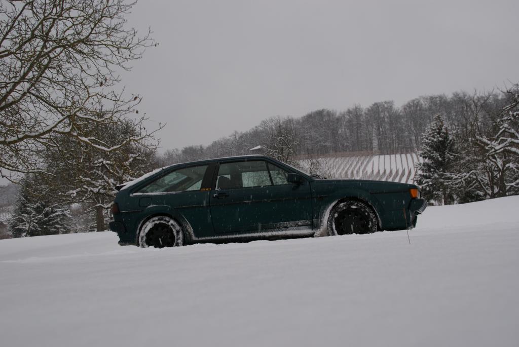Scirocco im Schnee.jpg