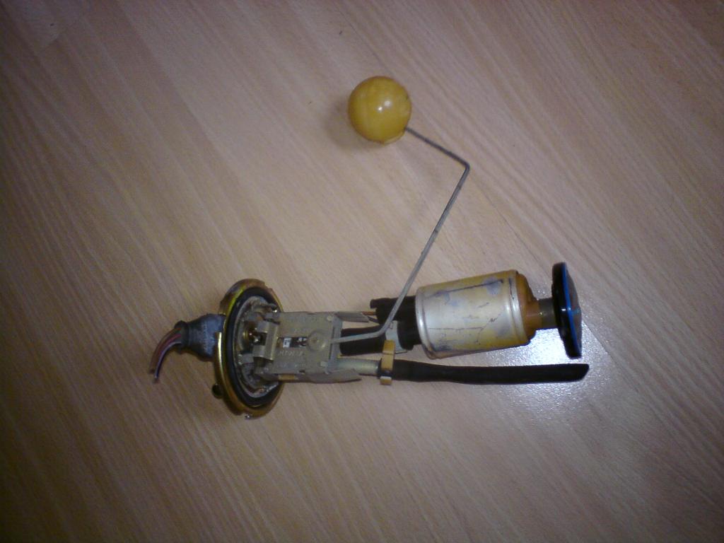 DSC00224.jpg