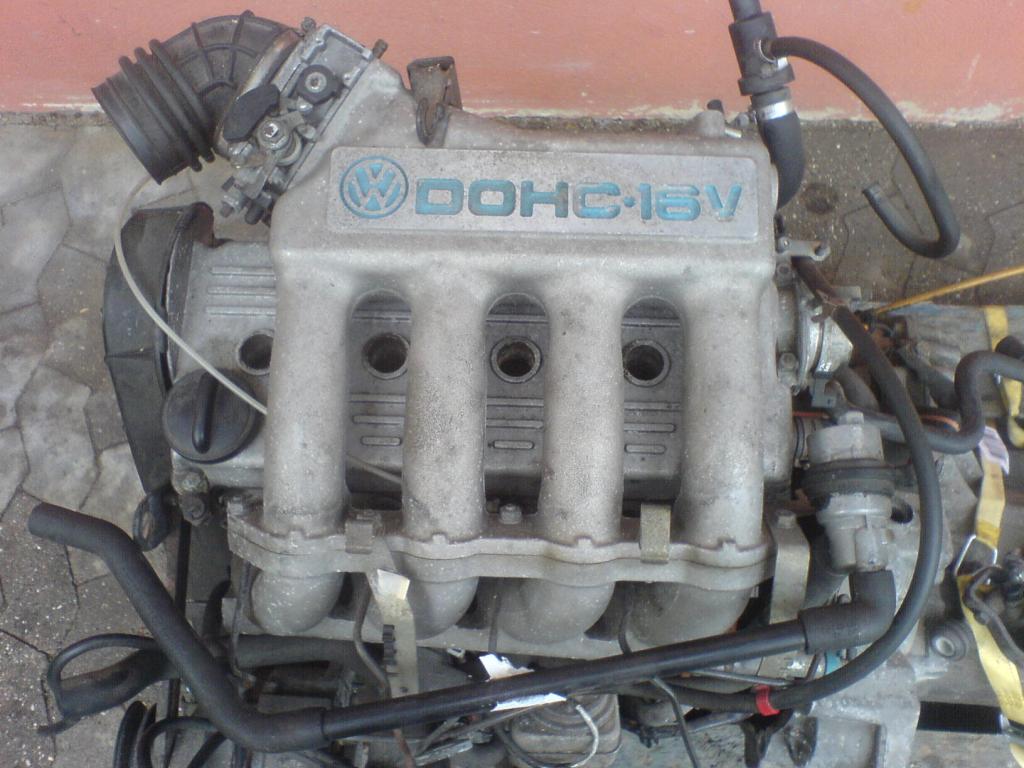 DSC01137.jpg