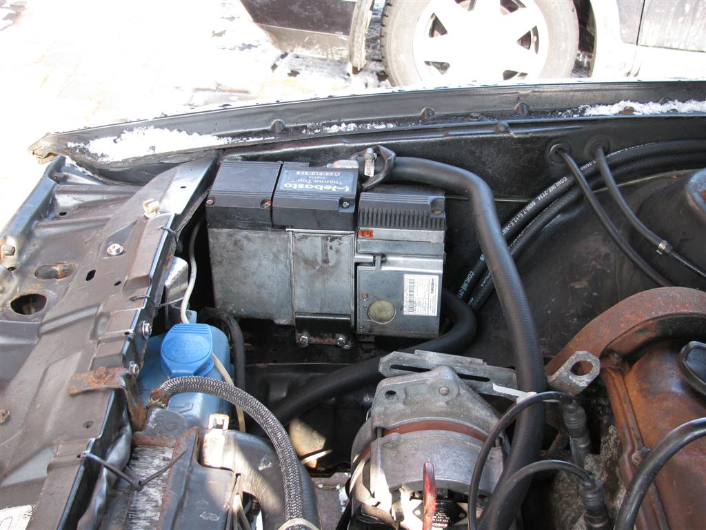 IMG_2690 (Large).JPG