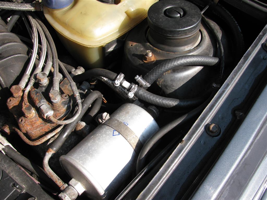 IMG_2695 (Large).JPG