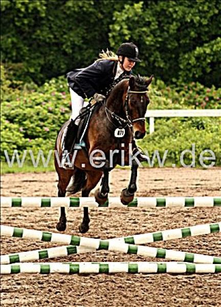 6-37febda1d1c3a99d[1].jpg