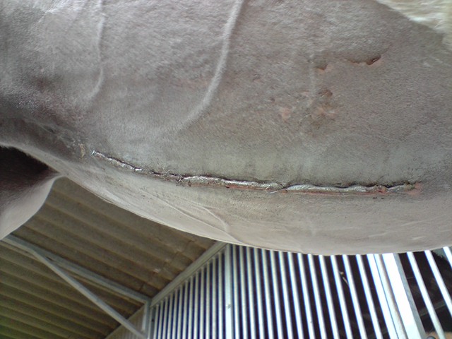 P280908_11.54.JPG